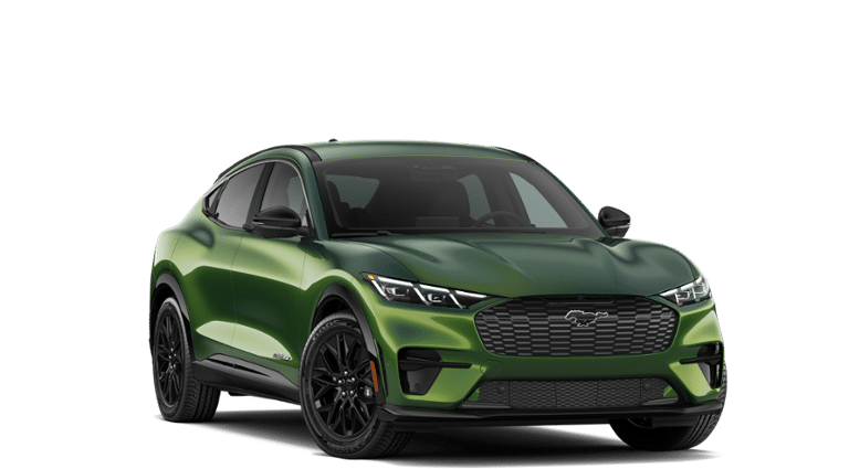 Mustang Mach-E® vehicle